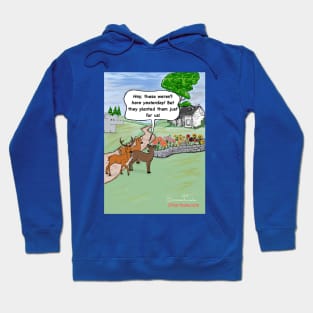 Temporary Garden Hoodie